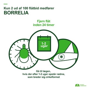 Flatbaren Sygdom Forebyggelse Af Patienthandbogen Pa Sundhed Dk